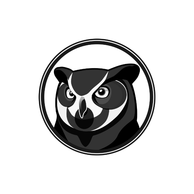 Owl Black and White Head