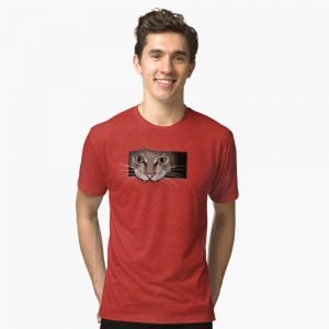 Gray cat on red t-shirt