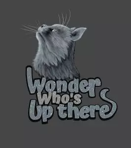 Cat Wondering "Who is Upthere"
