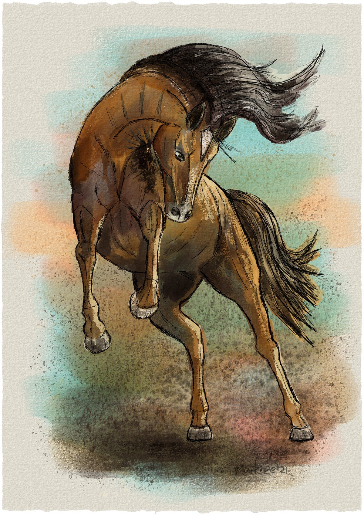 Kyle Petchock Art — Sketchbook | Horse art drawing, Animal drawings sketches,  Animal drawings