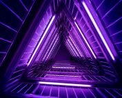 sandro-katalina-k1bO_VTiZSs-unsplash-web